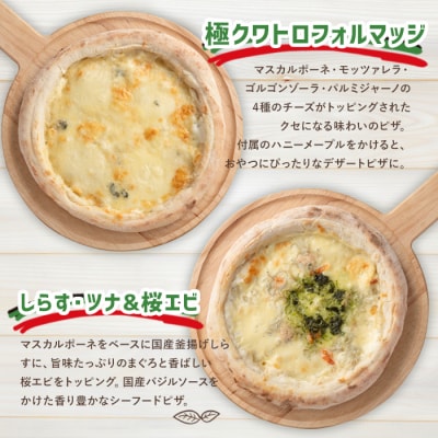 南の大地ピザ Aセット(合計5枚)【102100100】【スターフーズ】