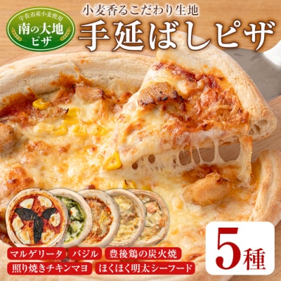 南の大地ピザ Bセット(合計5枚)【102100200】【スターフーズ】