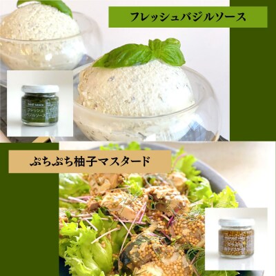 ファインド・ニューズ スペシャルセレクトセット【109300100】【ファインド・ニューズ】