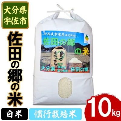 佐田の郷の米 慣行栽培米10kg【111700203】【雅設置プロジェクト　佐田の郷の会】