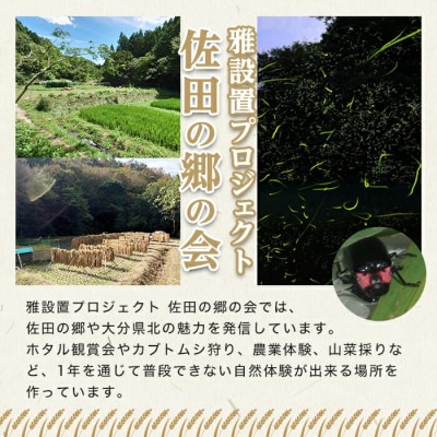 佐田の郷の米 慣行栽培米10kg【111700203】【雅設置プロジェクト　佐田の郷の会】