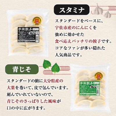 味深屋の宇佐餃子よりどりセット(合計12袋・5種)【104200200】【NPO法人結び恵会】
