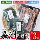 長洲港直送セット1(合計524g)【114300300】【豊永長六商店】