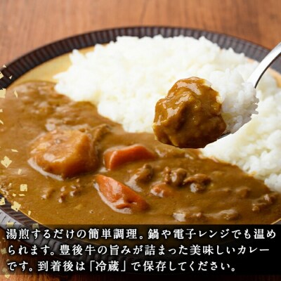 肉屋のまかない豊後牛カレー(計2.3kg・230g×10P)【110200200】【吉野】