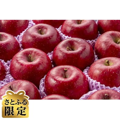 青森りんご　サンふじ　大玉　10kg【さとふる限定】