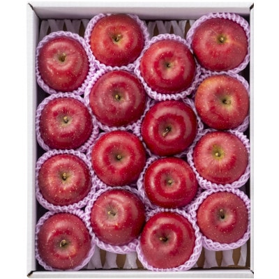 青森りんご　サンふじ　大玉　10kg【さとふる限定】