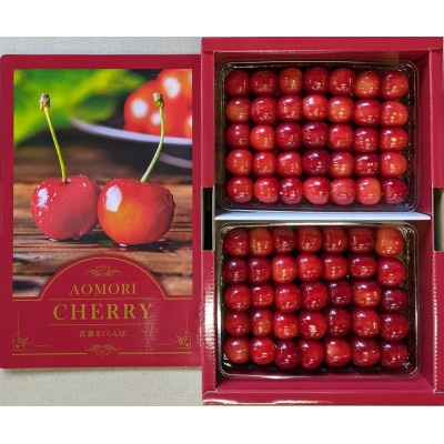 青森県南部地方のさくらんぼ・紅秀峰(500g×2パック)