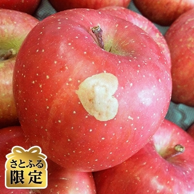 【2025年1月発送開始】青森りんご　サンふじ　家庭用　約10kg【さとふる限定】