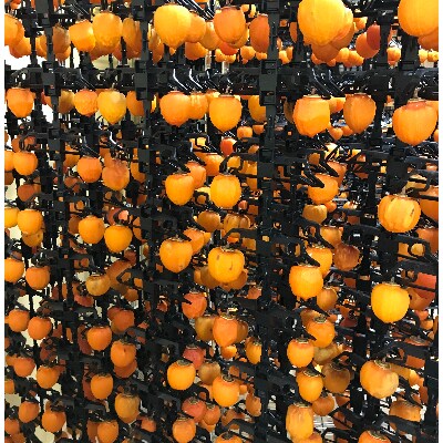 なんぶの柿っこ(干し柿)200g×6P