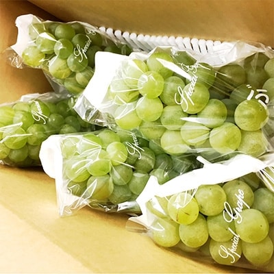 青森南部町産ぶどう [ナイアガラ/A級品] 約2.0kg【さとふる限定】