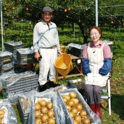 泉山果樹園の高級ゼネラルレクラーク(洋梨)　約3kg(約500g×6個)