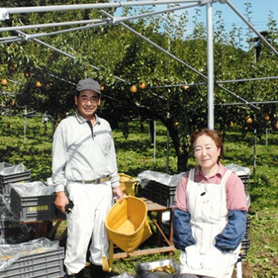 《贈答用》泉山果樹園のぐんま名月・サンふじ　詰め合わせ約5kg