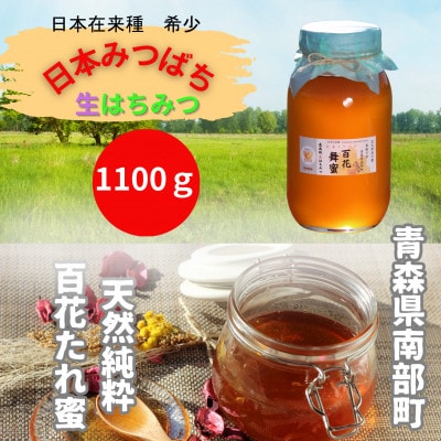 青森県南部町　日本ミツバチのはちみつ　希少な百花舞蜜1100g