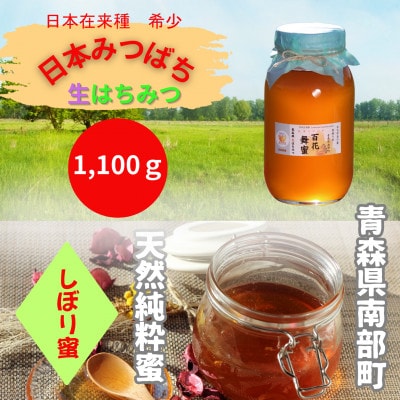 青森県南部町 日本ミツバチのはちみつ 希少な百花舞蜜(絞り蜜) 1,100g