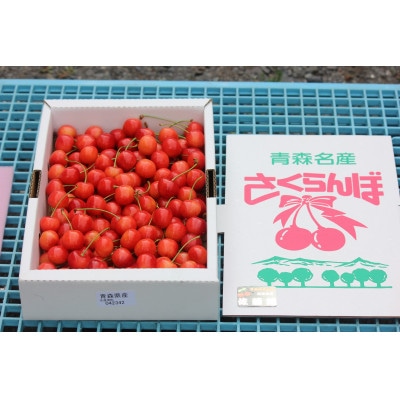 青森県南部町　さくらんぼ 佐藤錦 約1kg (バラ詰め)