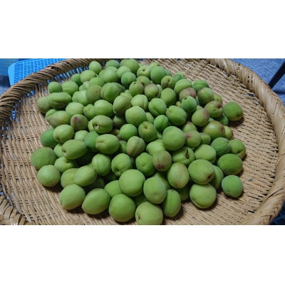 青森県南部町産　豊後梅の青梅3kg