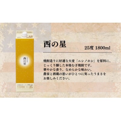 西の星 20度 25度 1.8L×2本【114000302】【一般社団法人　地域商社USA】