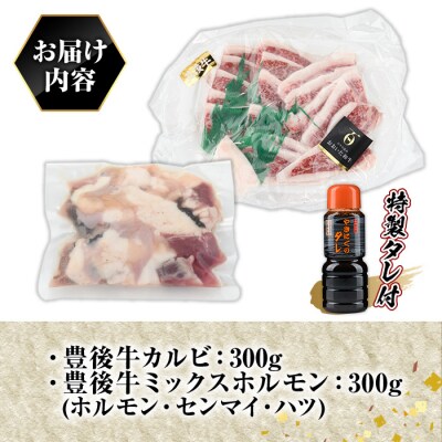 豊後牛カルビ+ミックスホルモンセット 特製タレ付【109900200】【ショッピングストアー光長】