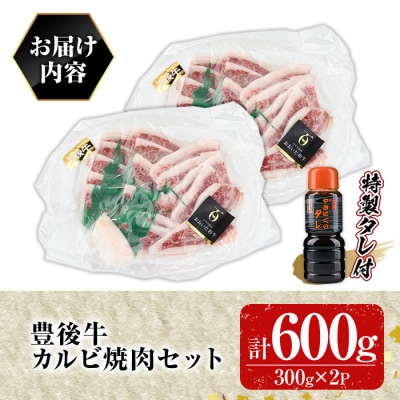豊後牛カルビ焼肉セット 光長亭 特製タレ付【109900400】【ショッピングストアー光長】