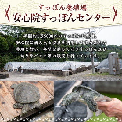 スッポン切り身&スープ(3～4人前)【102700200】【安心院すっぽんセンター】