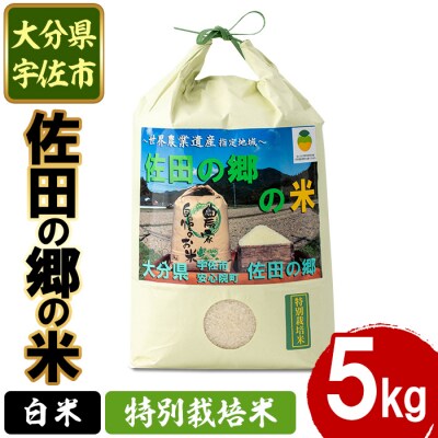 佐田の郷の米 特別栽培米 5kg 【111700703】【雅設置プロジェクト佐田の郷の会】