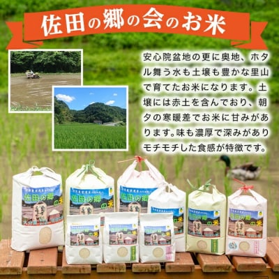 佐田の郷の米 特別栽培米 5kg 【111700703】【雅設置プロジェクト佐田の郷の会】