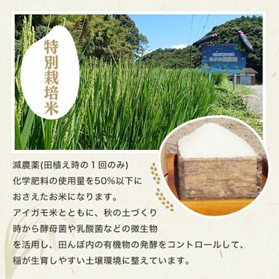 佐田の郷の米 特別栽培米 5kg 【111700703】【雅設置プロジェクト佐田の郷の会】