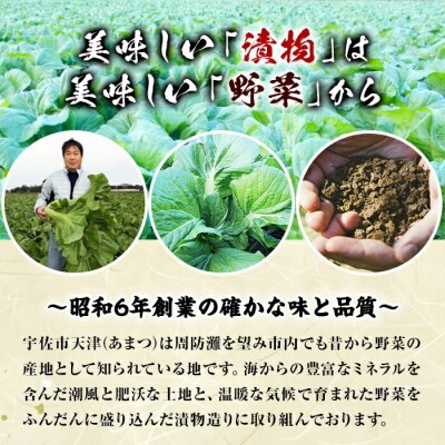 白菜キムチ (300g×5袋・計1.5kg) 【103200200】【松本漬物】