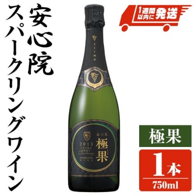安心院スパークリングワイン 極果(熟成白) 2013(750ml)【107305200】【時枝酒店】