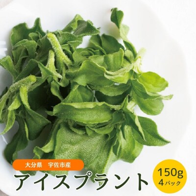 アイスプラント(150g×4パック)【114800201】【公益社団法人 あじむ農業公社】