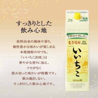 いいちこ 20度 パック(1.8L×10本)【107304700】【時枝酒店】