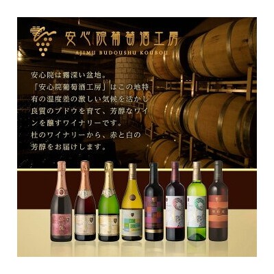 安心院ワイン 卑弥呼 白(720ml×2本)【104303200】【山添産業】