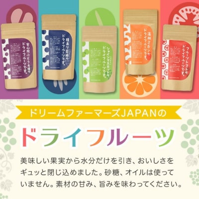 シャインマスカットのドライフルーツ(50g)【100700500】【宮田ファミリーぶどう園】