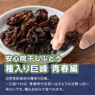 安心院干しぶどう 種入り巨峰青春編35g×2P【100700900】【宮田ファミリーぶどう園】