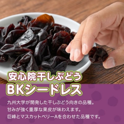 安心院干しぶどう BKシードレス(35g×2袋)【100701000】【宮田ファミリーぶどう園】