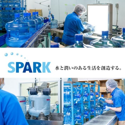 5年保存水 非常災害備蓄用 (計12L・500ml×24本)【114700500】【スパーク】