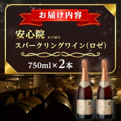 安心院スパークリングワイン ロゼ(750ml×2本)【107303400】【時枝酒店】
