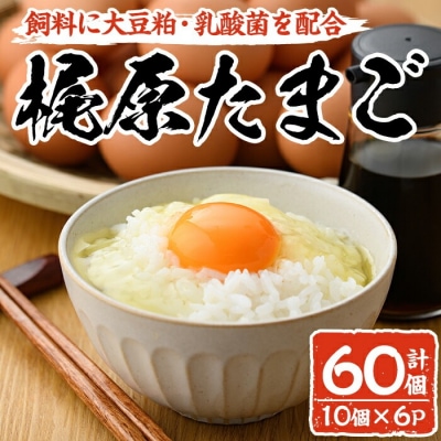 梶原たまご(計60個・10個×6P)【108800200】【カジワラファーム】