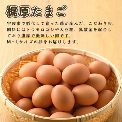 梶原たまご(計60個・10個×6P)【108800200】【カジワラファーム】