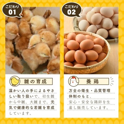大分烏骨鶏のたまご(計30個・10個×3P)【108800300】【カジワラファーム】