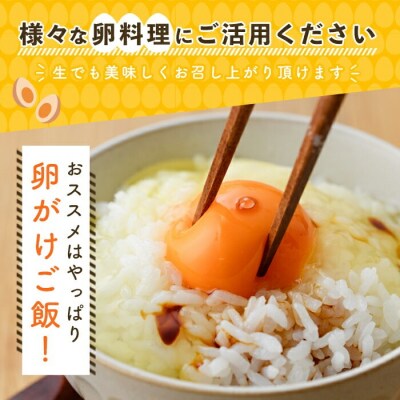 大分烏骨鶏のたまご(計30個・10個×3P)【108800300】【カジワラファーム】
