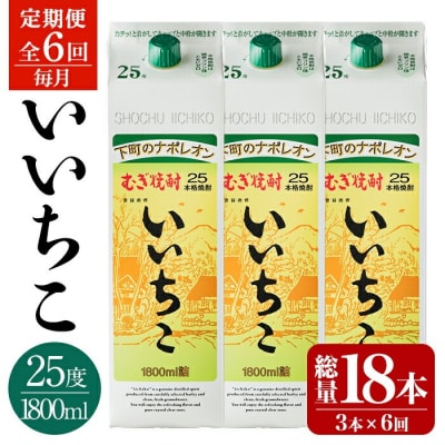 定期便・全6回(連続)　いいちこ25度パック(計5.4L×6回)【206100201】【酒のひろた】