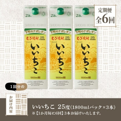 定期便・全6回(連続)　いいちこ25度パック(計5.4L×6回)【206100201】【酒のひろた】