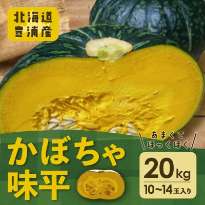 【先行受付】北海道 豊浦産 かぼちゃ 味平 約20kg 10～14玉入り TYUH005