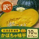 【先行受付】【訳あり】北海道 豊浦産 かぼちゃ 味平 約10kg 5～7玉入り TYUH006