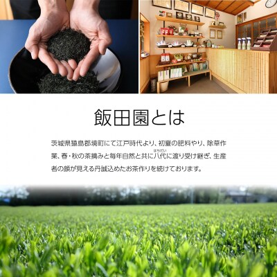 【境町産さしま茶100%】「シングルオリジン」品種茶5種飲み比べセット計400g