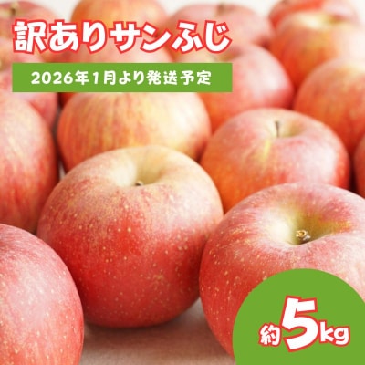 りんご 「サンふじ」家庭用 約5kg【2026年1月より発送】 No.2065