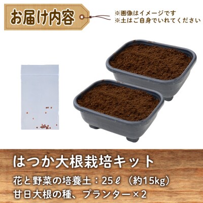 はつか大根栽培キット