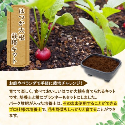 はつか大根栽培キット