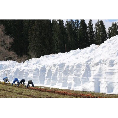 なんとリコピン20倍!雪下にんじんジュース『雪くれない』200ml×20本